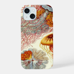 Medusa Vintage Haeckel