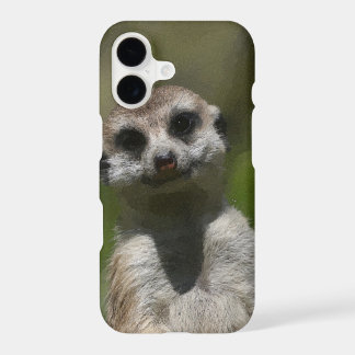 Meerkat20151005
