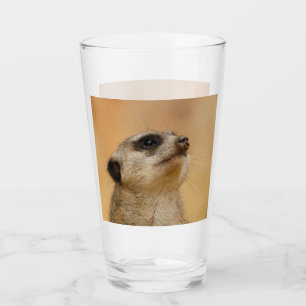 Meerkat 001 de JAMFoto