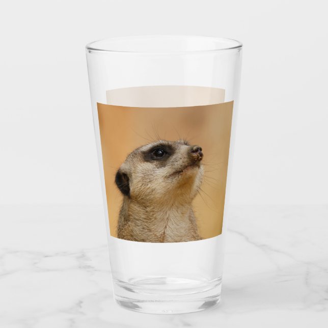 Meerkat 001 de JAMFoto (Anverso)
