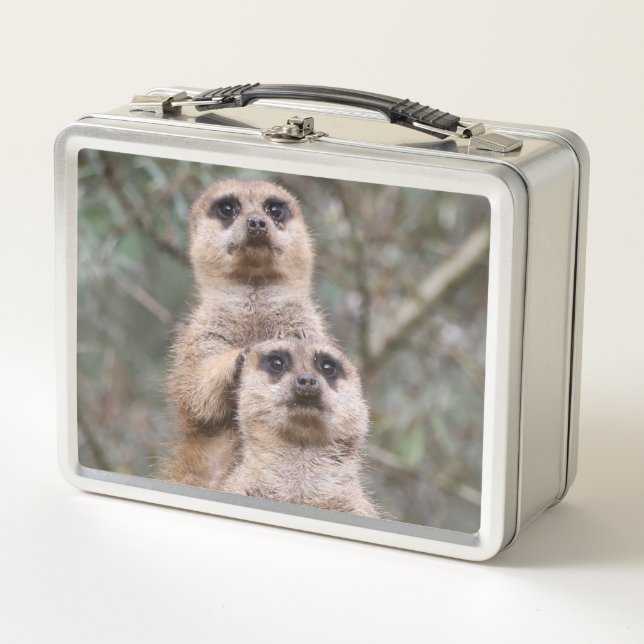Meerkat_002_by_JAMFoto (Anverso)