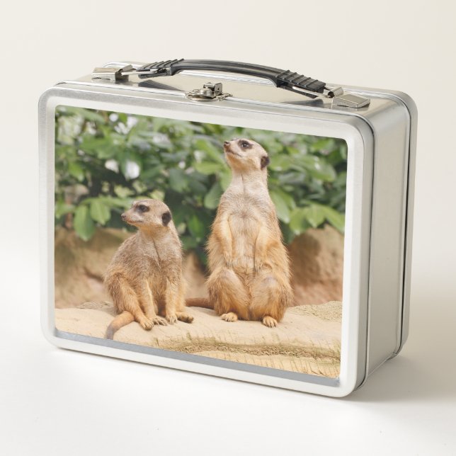 Meerkat 009 (Anverso)