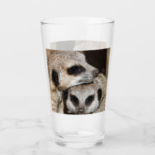 Meerkat 019