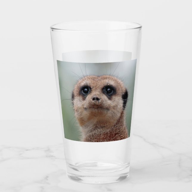 Meerkat 020 (Anverso)