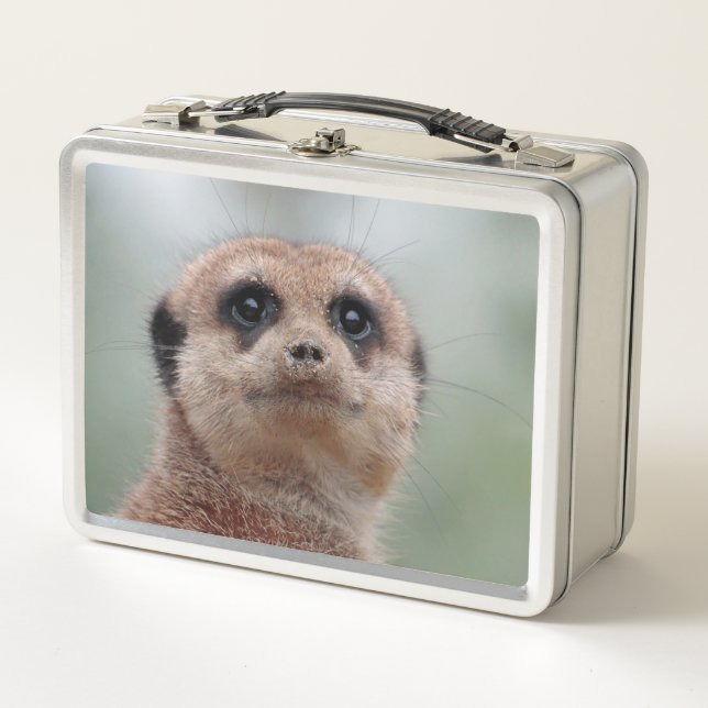 Meerkat 036 (Anverso)