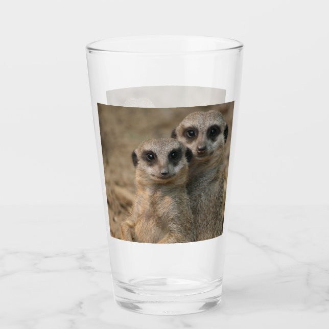 Meerkat 067 (Anverso)