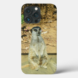 Meerkat #1 iPhone 13 Pro Funda