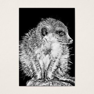 Meerkat, blanco y negro