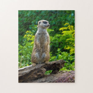 Meerkat en el bosque rompecabezas de Jigsaw