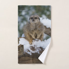 Meerkat En La Impresión Acrílica De Nieve