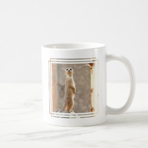 Meerkat en la taza de café de la atención