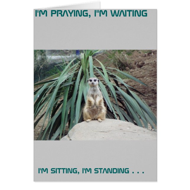 Meerkat humorístico - Círculo uno (Frente)