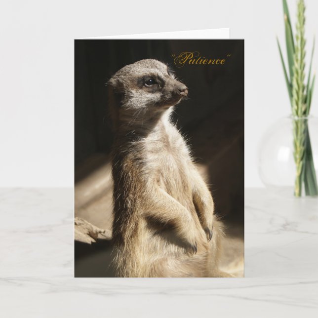 Meerkat lindo "paciencia" cualquier tarjeta de (Anverso)