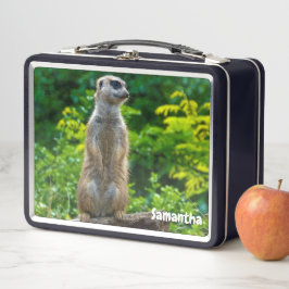 Meerkat Metalizado Lunchbox