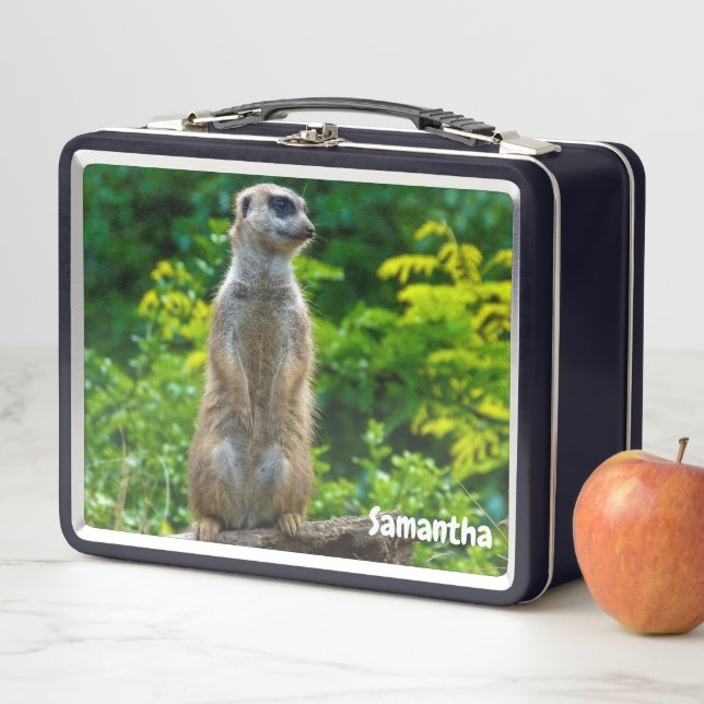Meerkat Metalizado Lunchbox (In situ)