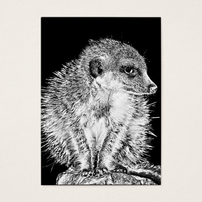 Meerkat, negro y blanco (Frente)