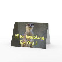 Meerkat perdió su tarjeta
