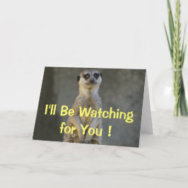 Meerkat perdió su tarjeta