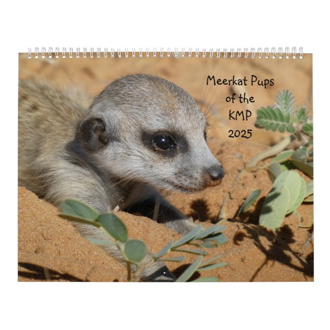 Meerkat Pups del Calendario de KMP 2025 (Tapa)