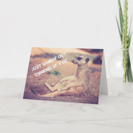 Meerkat que le falta tarjeta de felicitación