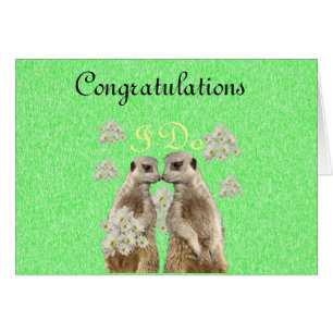 Meerkat se hace con votos Bodas, nota tarjeta Boda