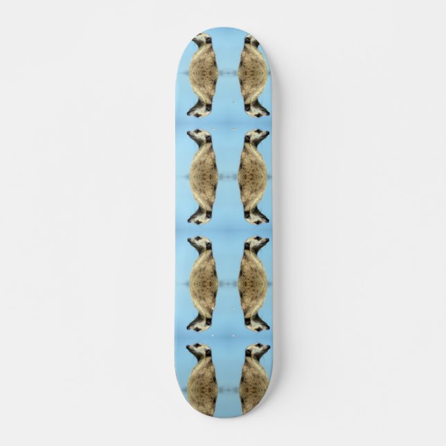 Meerkat Skateboard (Anverso )