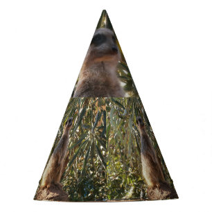 Meerkat Sobre El Deber De La Guardia, Gorra Fiesta