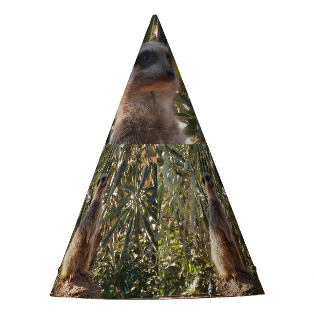 Meerkat Sobre El Deber De La Guardia, Gorra Fiesta (Anverso)