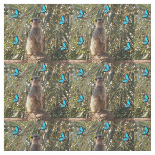 Meerkat Y Mariposas Azules, Tela