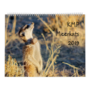 Meerkats de KMP - calendario 2019