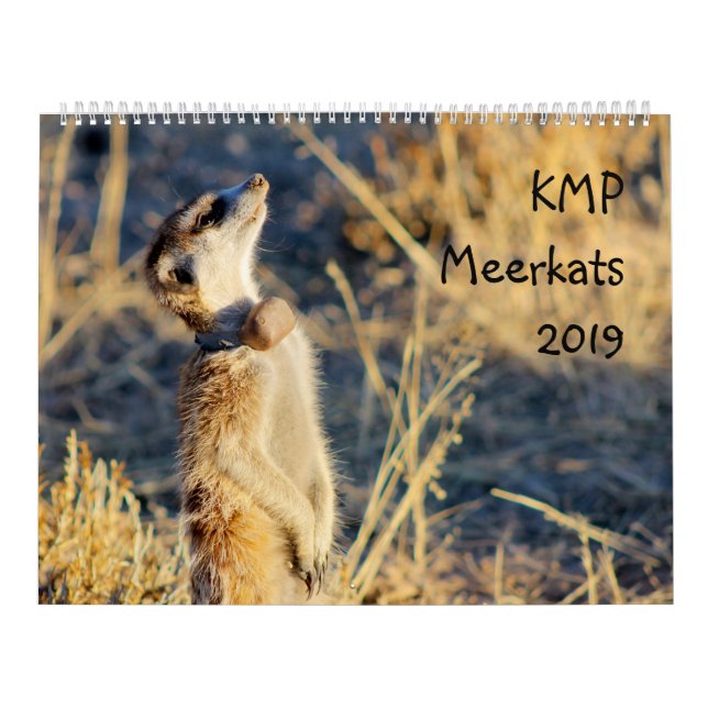 Meerkats de KMP - calendario 2019 (Tapa)