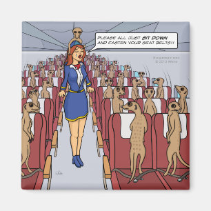 Meerkats en un imán plano