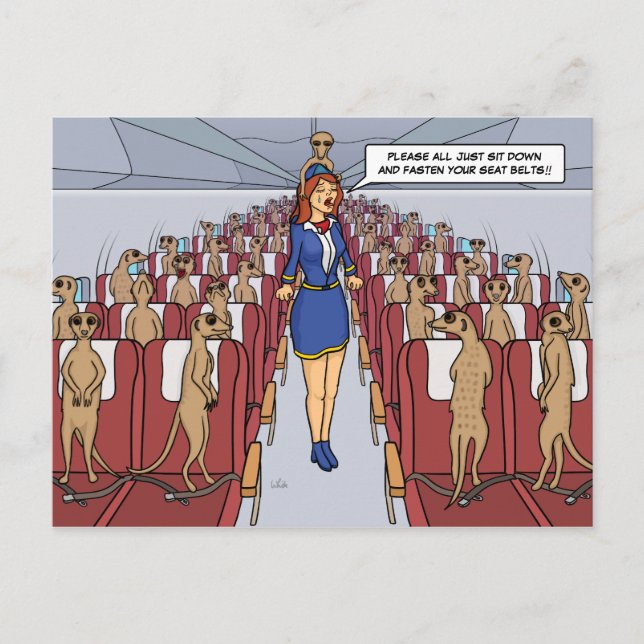 Meerkats en una postal plana (Anverso)