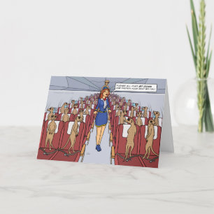 Meerkats en una tarjeta de felicitación de avión
