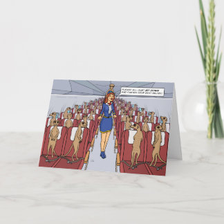 Meerkats en una tarjeta de felicitación de avión