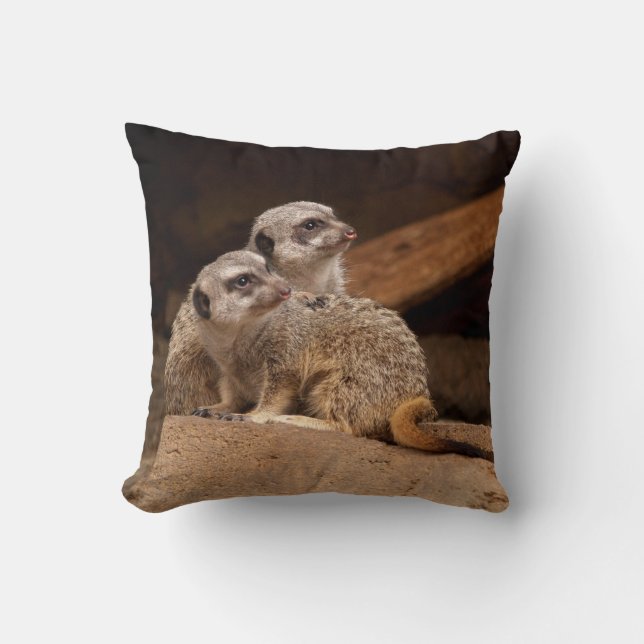 Meerkats reversibles en una almohada (Anverso)