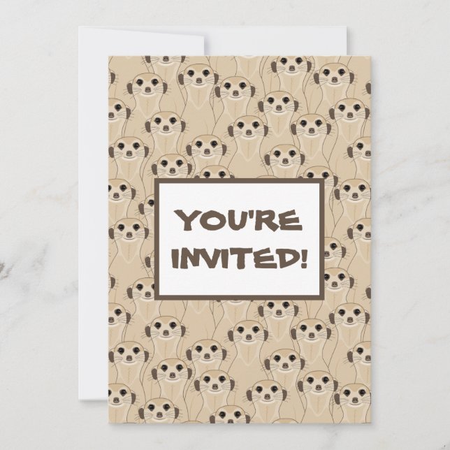 Meerkats - Suricata (Anverso)