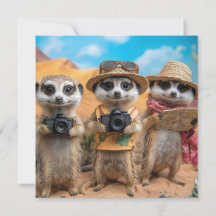 Meerkats vestidos como turistas con cámaras y mapa