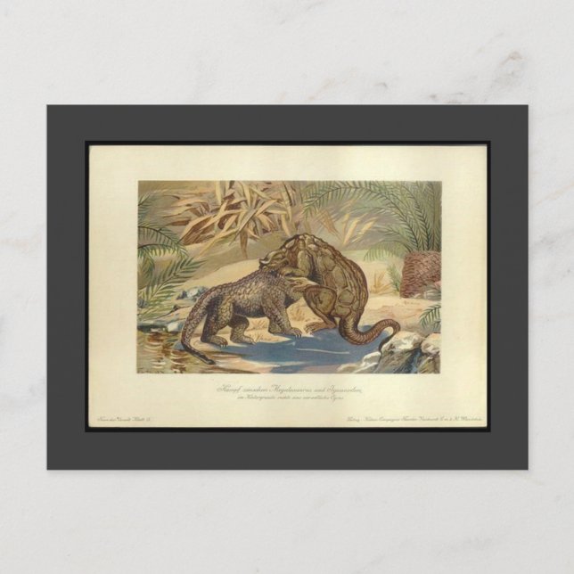 Megalosauro de época vs. postal de iguanodon (Anverso)