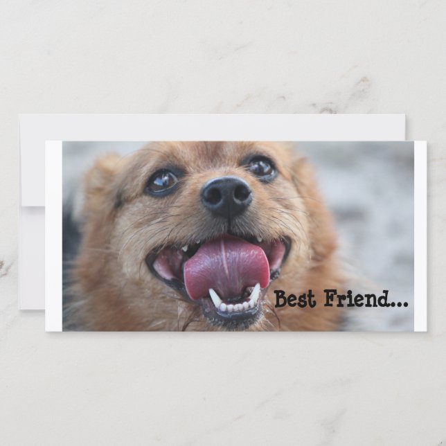 Mejor Amigo (Anverso)