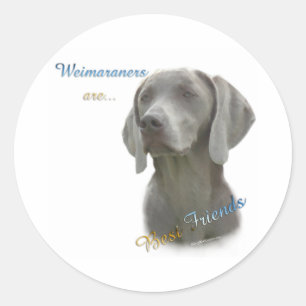Mejor Amigo de Weimeraner 2 - Pegatina