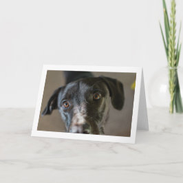 "Mejor Amigo" tarjeta plegada de bienvenida en bla