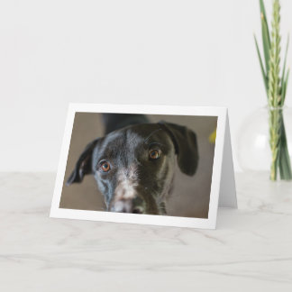 "Mejor Amigo" tarjeta plegada de bienvenida en bla