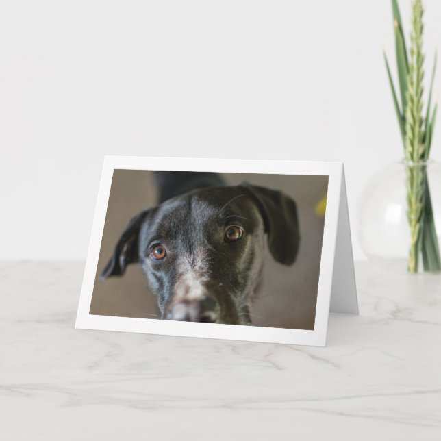 "Mejor Amigo" tarjeta plegada de bienvenida en bla (Anverso)