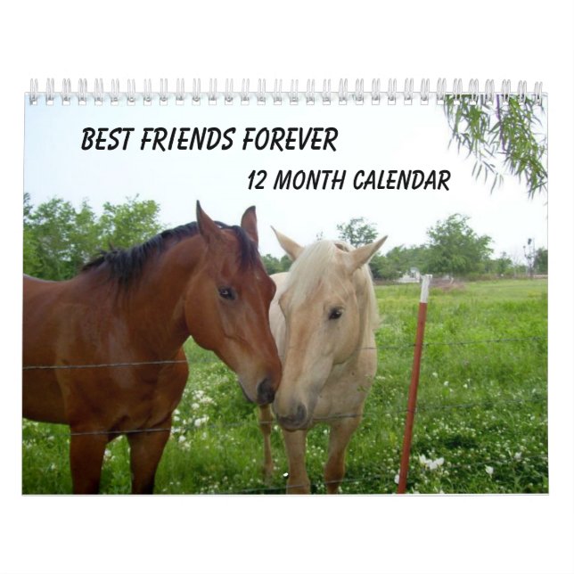 Mejor Amigos de BFF para siempre - Calendario de 1 (Tapa)