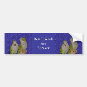 Mejor Amigos Para Siempre Aves Cuestas Pegatinas D