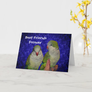 Mejor Amistad para siempre Cute Aves Tarjeta de Am