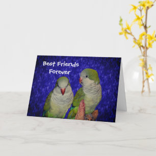 Mejor Amistad para siempre Cute Aves Tarjeta de Am