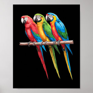 Mejor Arte De Loro Para Hombres Mujeres Niños Loro