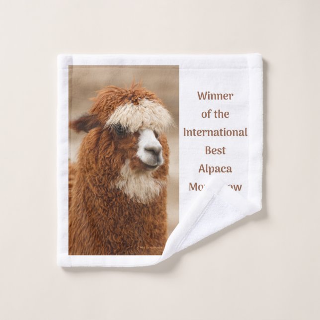 Mejor ceja única de alpaca (Toallita)